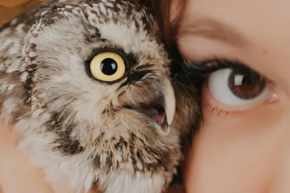 Лотомарт Казино Поддръжка